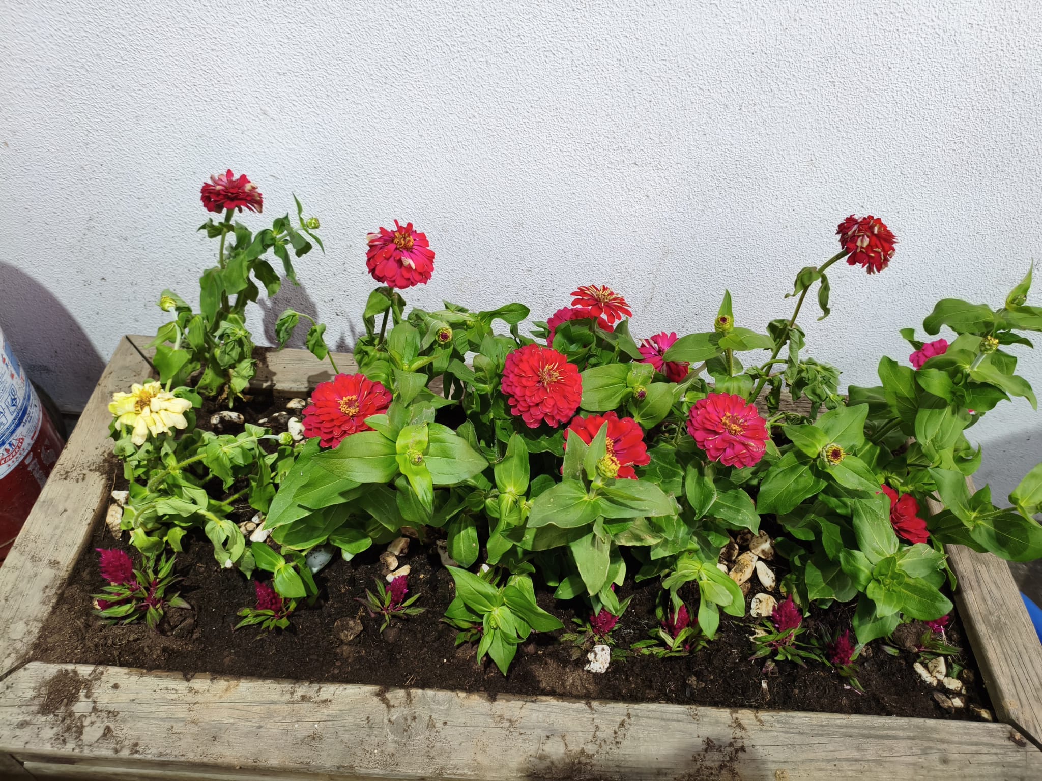 GreatGarden34 projesi 13