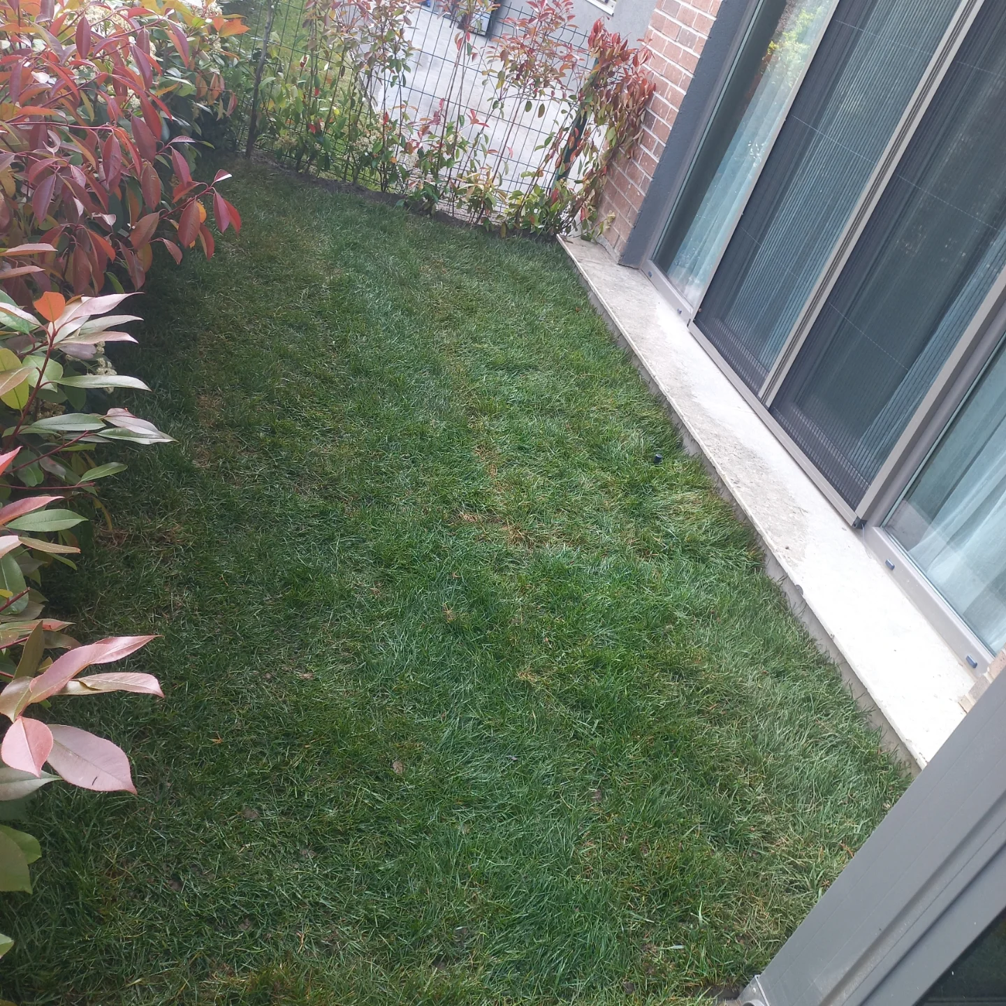 GreatGarden34 projesi 8